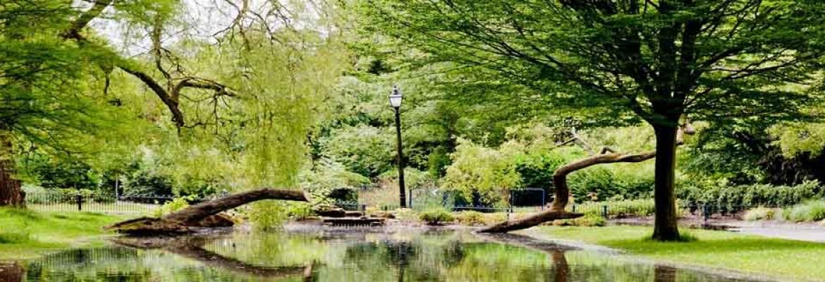 Sefton Park