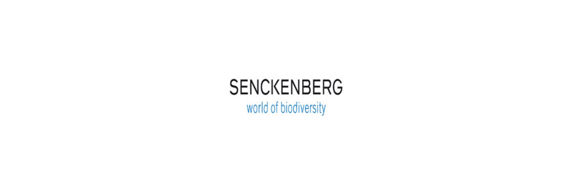 Senckenberg Nature Museum