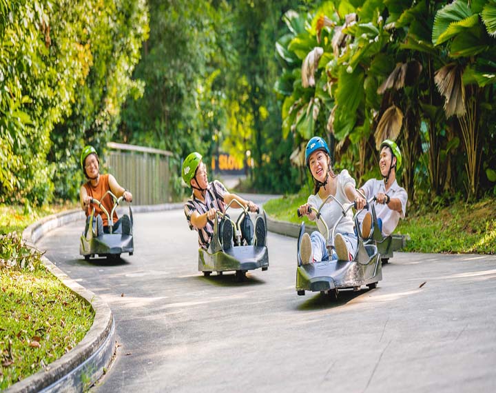 Skyline Luge Singapore