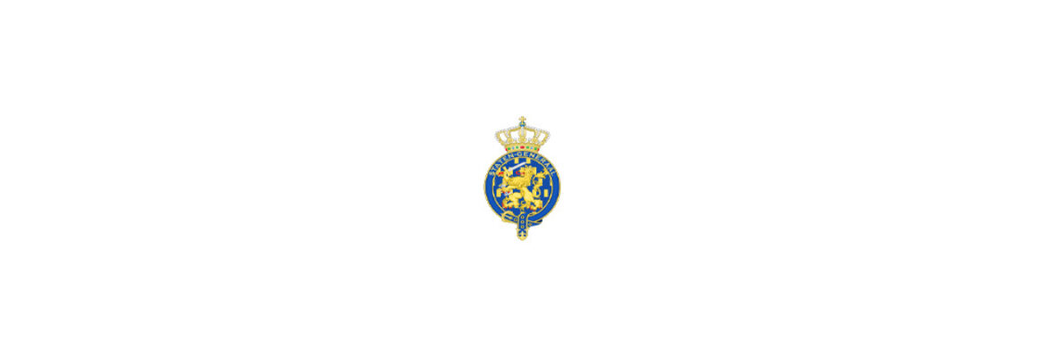 Temporary House of Representatives of the States General
