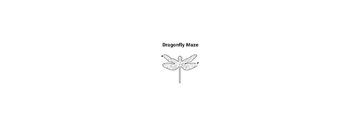 The Dragonfly Maze