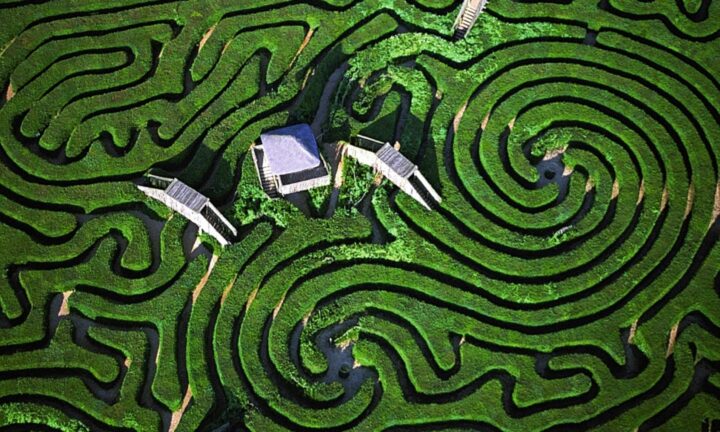 The Dragonfly Maze