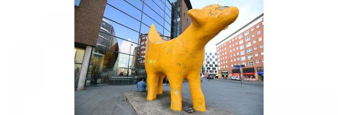 The Drumlin’s Super Lambanana