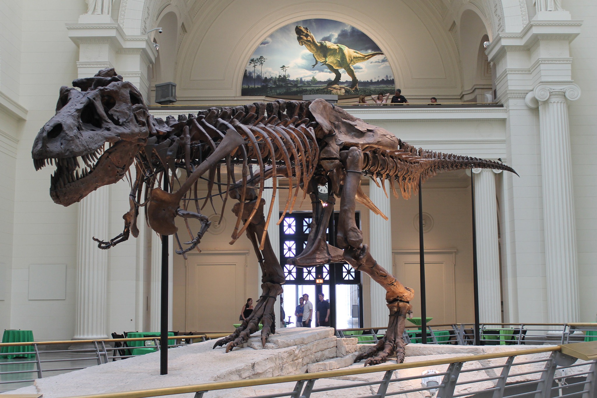 The Field Museum, Chicago, Illinois, USA