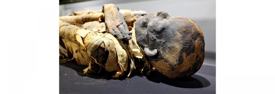 The Garstang Museum of Archaeology