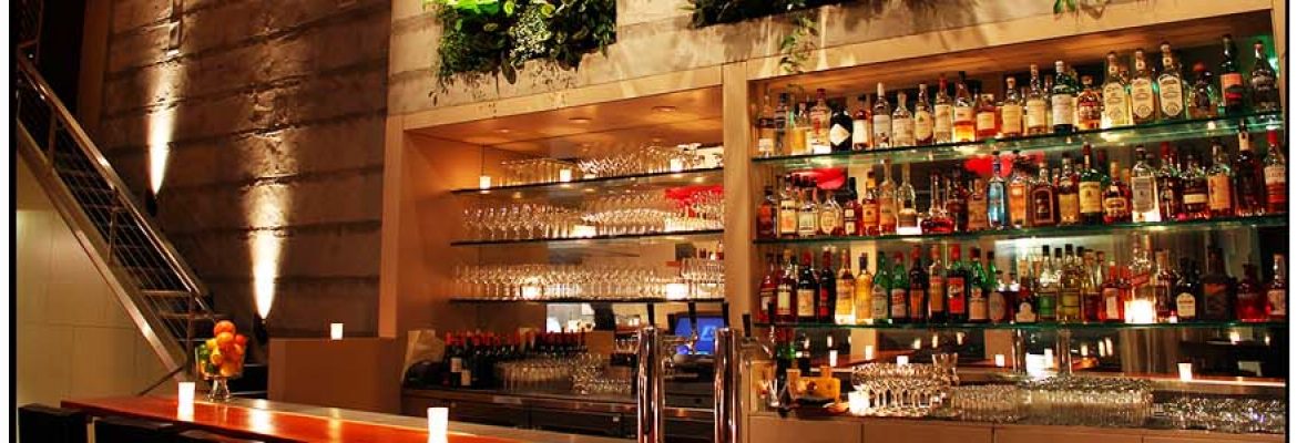 The Maven Bar
