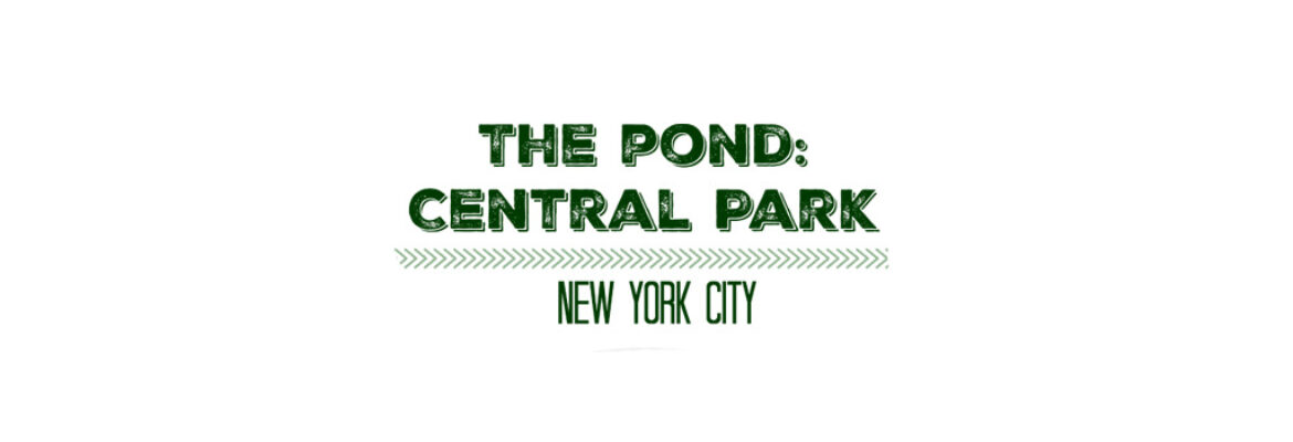 The Pond at Central Park