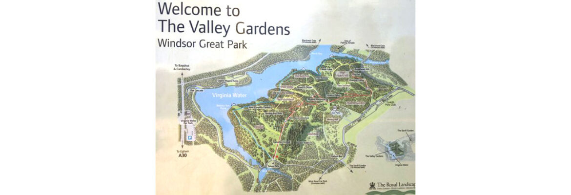 The Valley Gardens