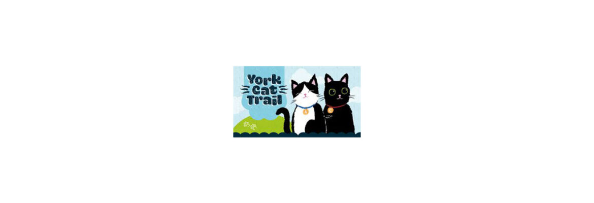 The York Cat Trail