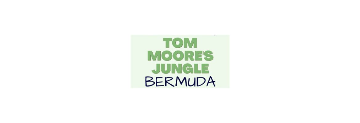 Tom Moore’s Jungle