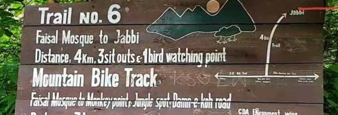 Trail 6 Faisal Mosque track