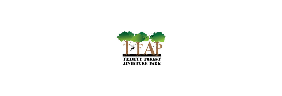 Trinity Forest Adventure Park