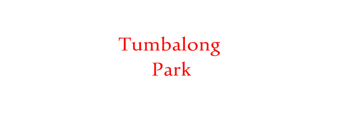 Tumbalong Park