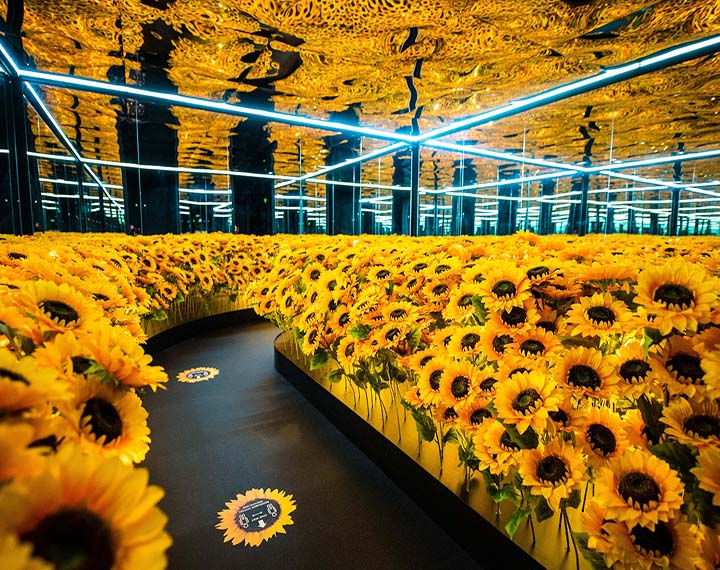 Van Gogh The Immersive Experience London Heroes Of Adventure