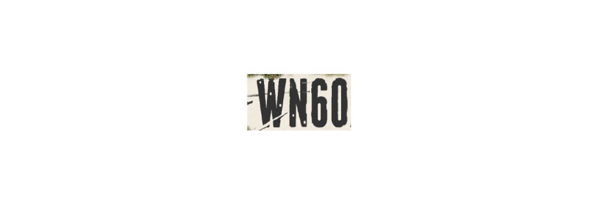 WN60 (Widerstandsneste 60)