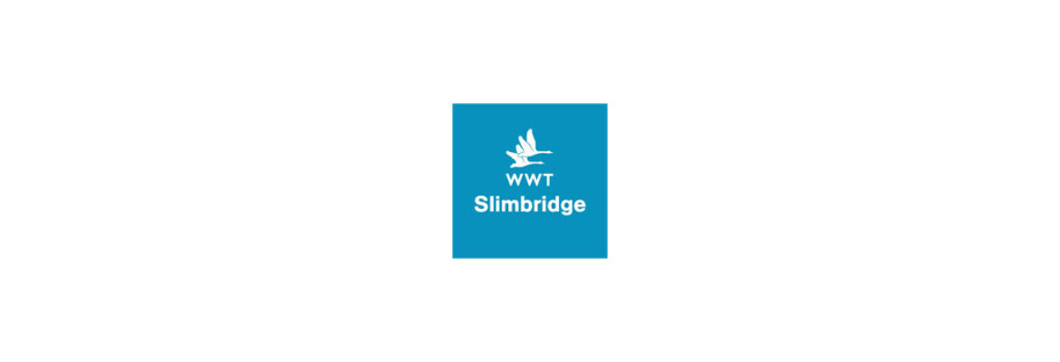 WWT Slimbridge
