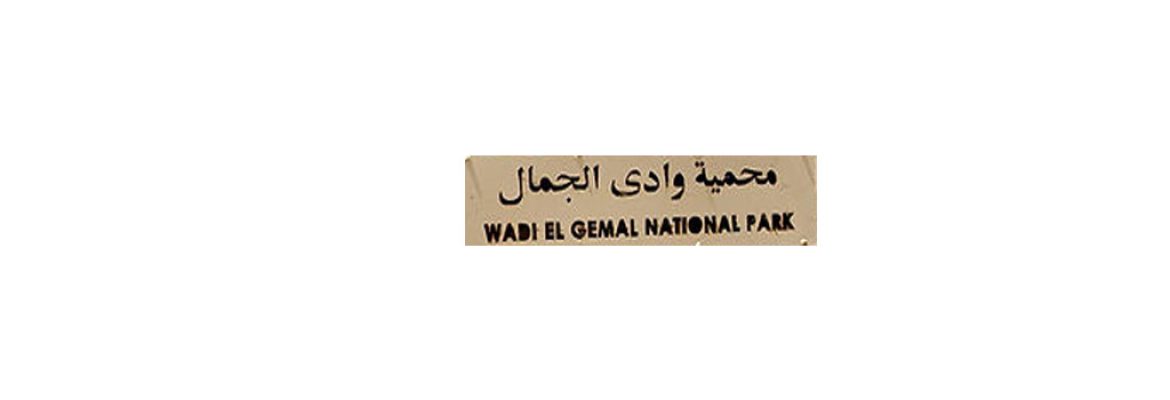 Wadi el Gemal National Park, Red Sea, Egypt