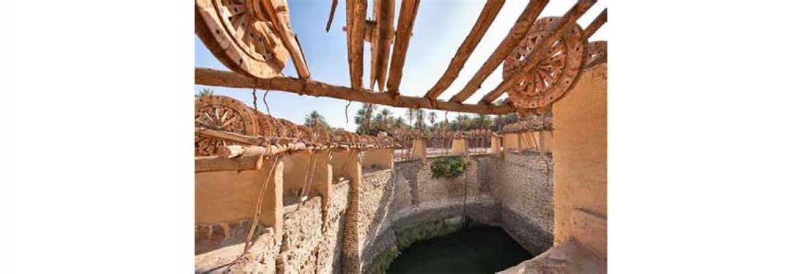 Well Hadaj Oasis