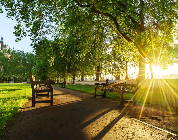 Whitehall Gardens - Heroes Of Adventure