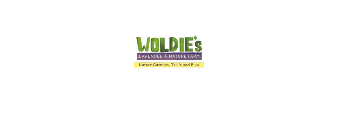 Woldies