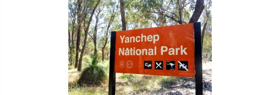 Yanchep National Park