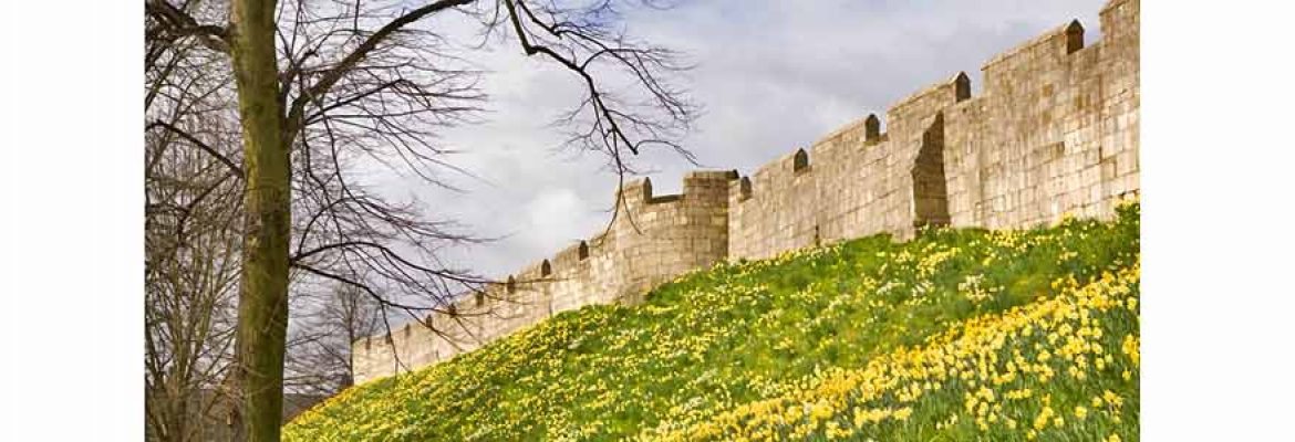 York City Walls