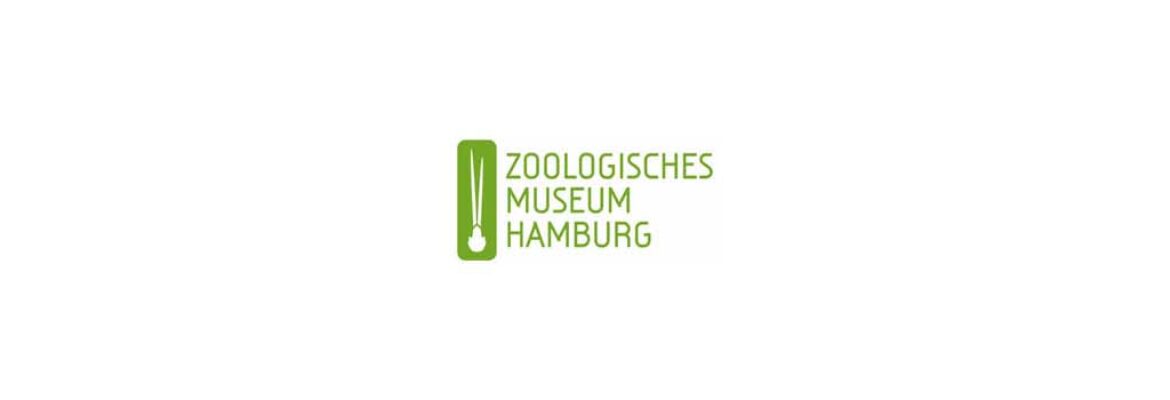 Museum for Hamburg History