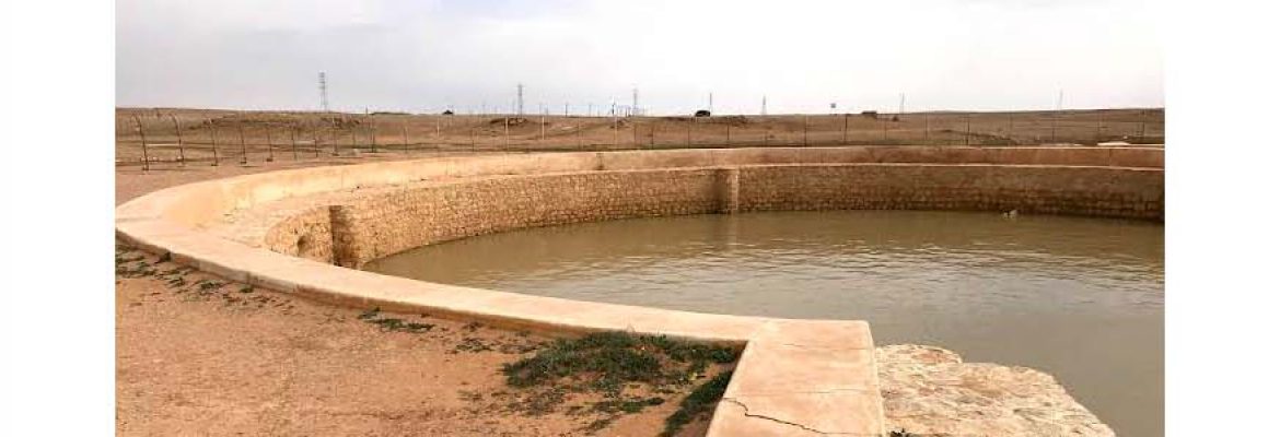 Al Jumaimiyah Pool