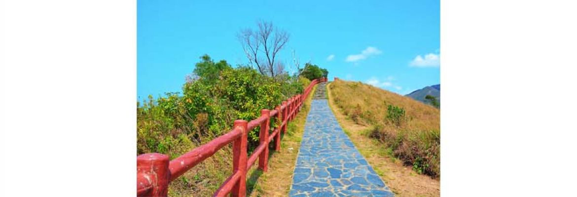 Fu Shan Viewing Point (Viewing of Chinese White Dolphins)