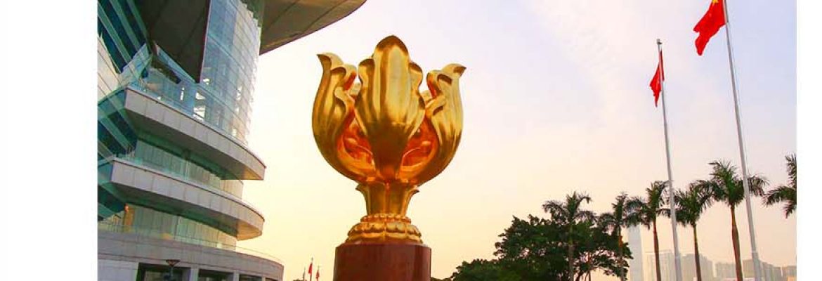 Golden Bauhinia Square