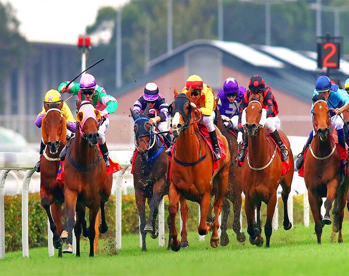 Hong Kong Jockey Club Happy Valley Racecourse - Heroes Of Adventure