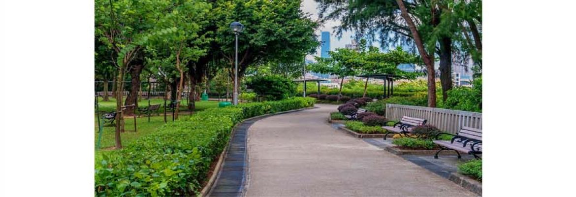 Hong Kong Park Conservatory
