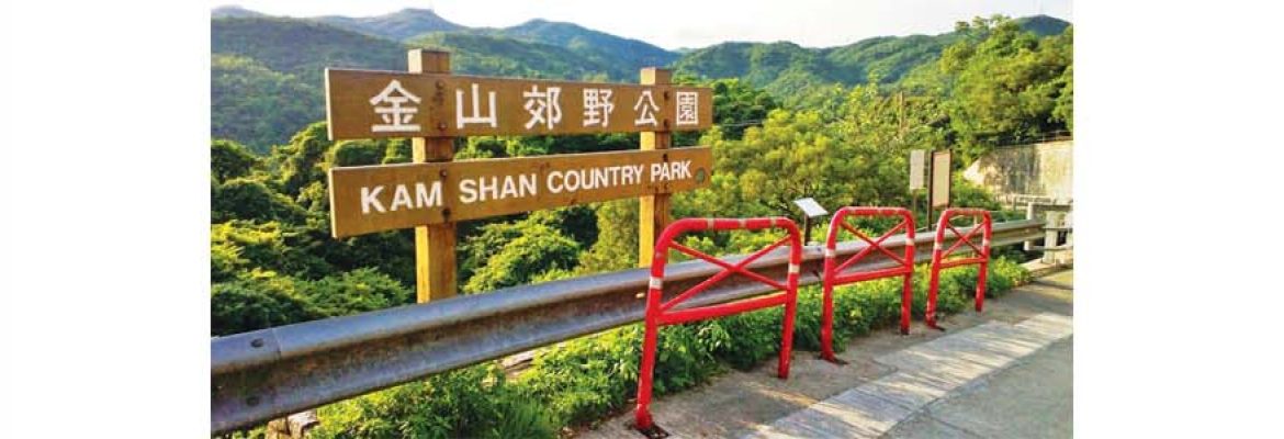Kam Shan Country Park