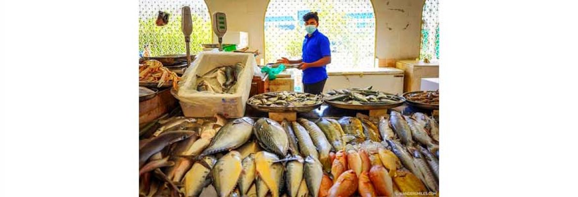 Khorfakkan Fish Market