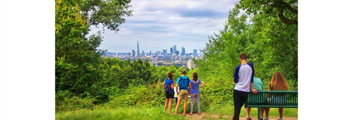 One Tree Hill – London View point