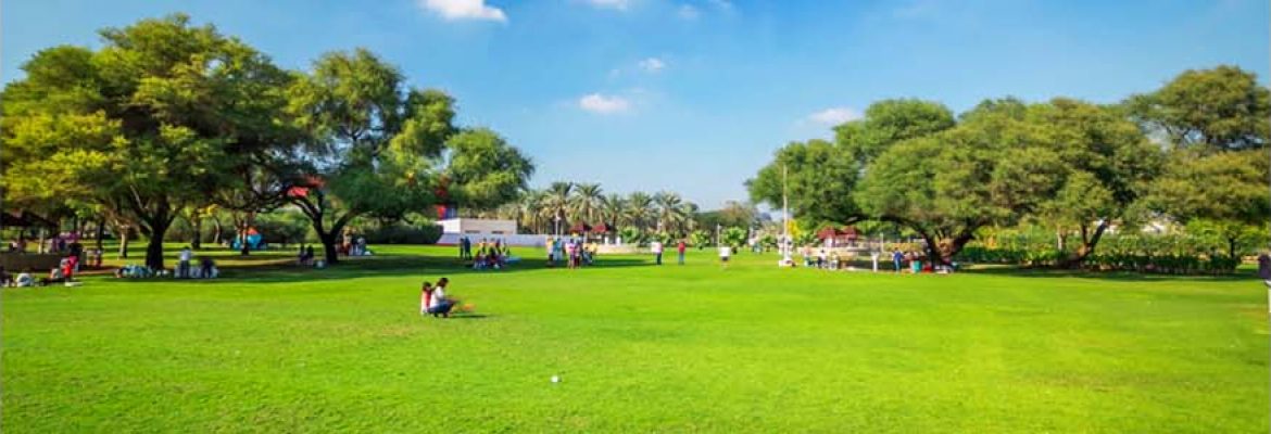 Saqr Park
